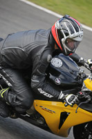 Lower Group Yellow Bikes